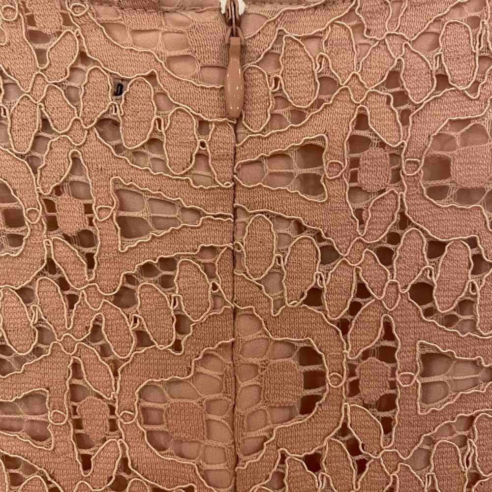 Ann Taylor Lace Shift Dress - Picture 5 of 7